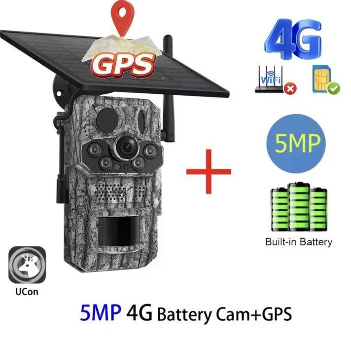 image-3